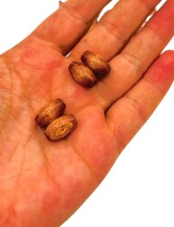 Angel Çanta Aksesuar 8 Mm Ahşap Oval Boncuk Taba Renk 50 Gr - 2