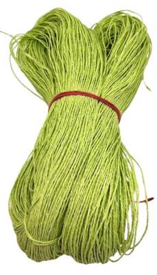 Angel Çanta Aksesuar Neon Yeşil Renk Kağıt İp 500 Gr - 1